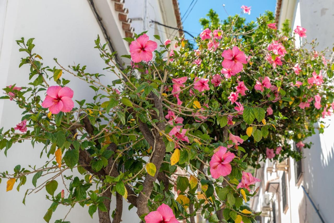 Lovely Cozy 2-Bedroom Residential Home With Patio เบนัลมาเดนา ภายนอก รูปภาพ
